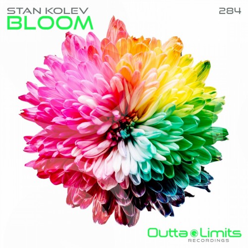 Bloom