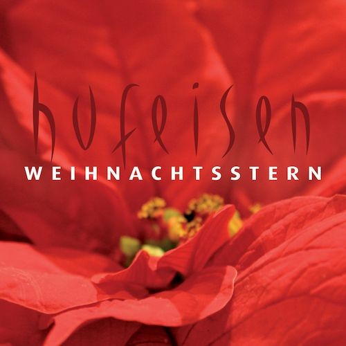 Weihnachtsstern