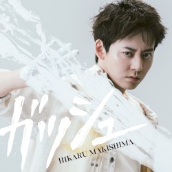 ガッシュ