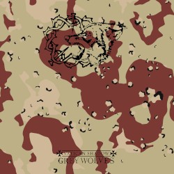 Sickness in the Right / Gulf War Syndrome