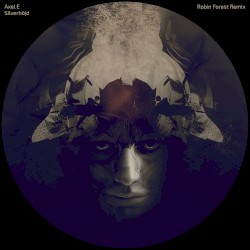 Silverhöjd (Robin Forest remix)