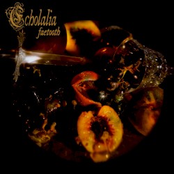 Echolalia