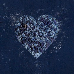 Seasons of Love 0.1
