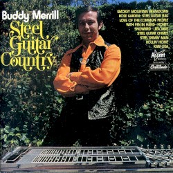 Steel Guitar Country