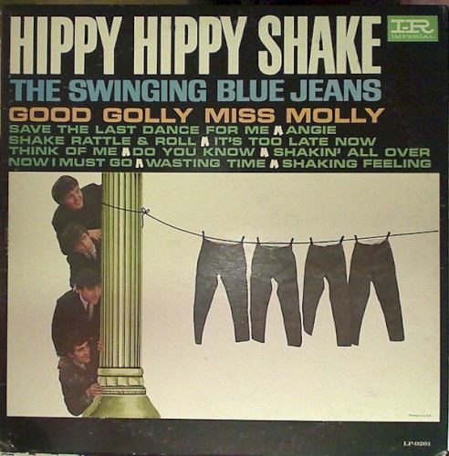 Hippy Hippy Shake