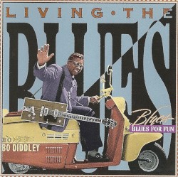 Living The Blues: Blues for Fun