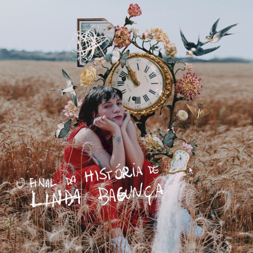 O final da história de linda bagunça