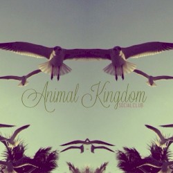 Animal Kingdom