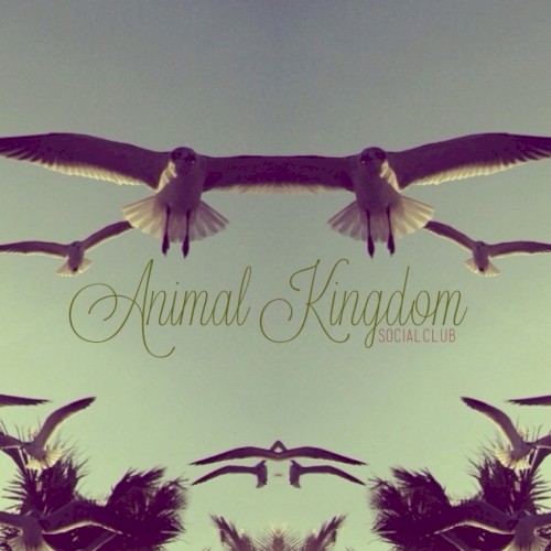 Animal Kingdom