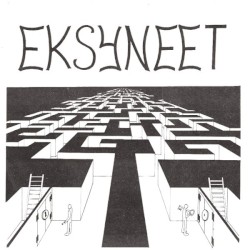Eksyneet