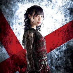 Shin‐Syoku