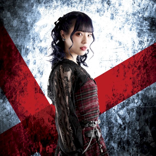 Shin‐Syoku