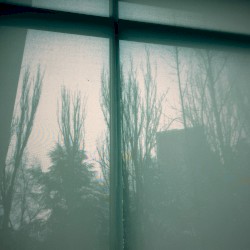 Your Soft Absence