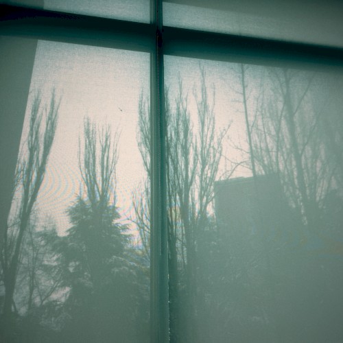 Your Soft Absence