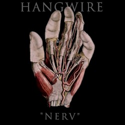 Nerv