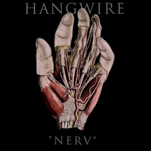 Nerv