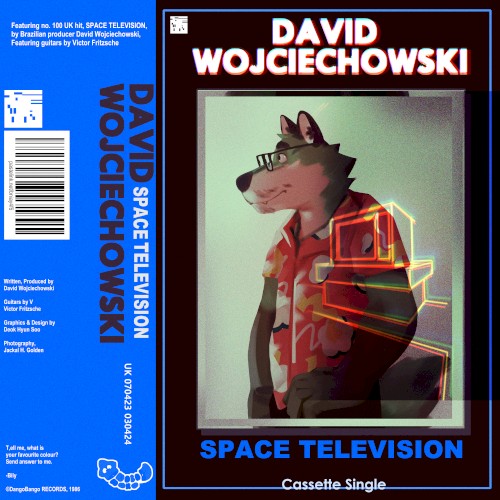 SPACE TELEVISION