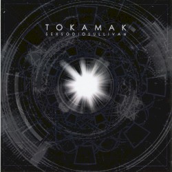 Tokamak – Stellarator