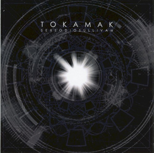 Tokamak – Stellarator