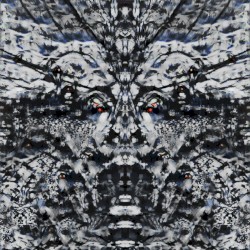 Inorganimate