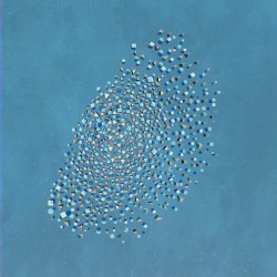 Murmuration