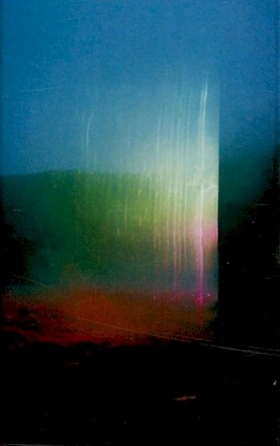 Southern Forest