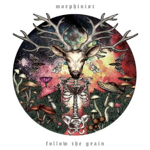 Follow the Grain