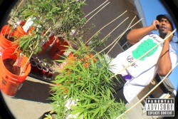 GrowHouse