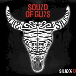 SIlicon