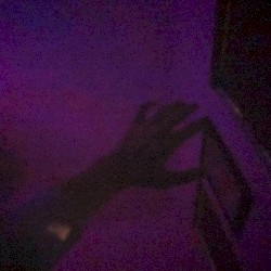 FEVERDREAM