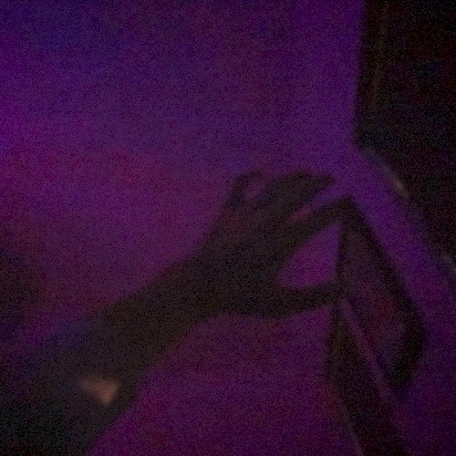 FEVERDREAM