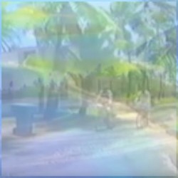 Leaving Micronesia™