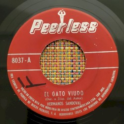 El gato viudo / Fortinguita