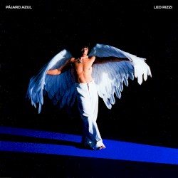 PÁJARO AZUL