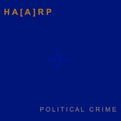 Political Crime