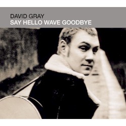 Say Hello Wave Goodbye