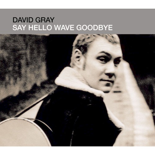Say Hello Wave Goodbye
