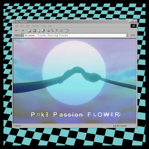 P o k e P a s s i o n F l o w e r