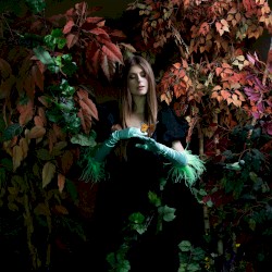 Phantom Forest (string remixes)