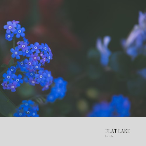 Particle