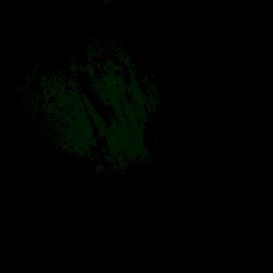 Vertigo Dokumentary