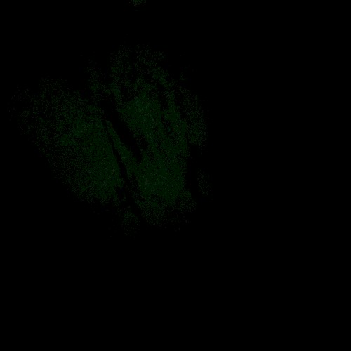 Vertigo Dokumentary