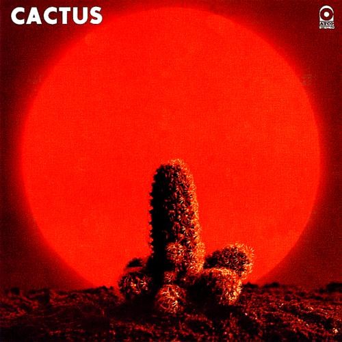 Cactus