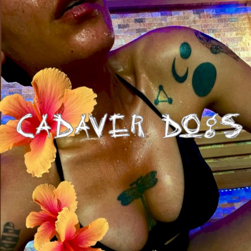 Cadaver Dogs