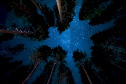 When night has fallen