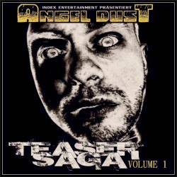 Teaser Saga Volume 1