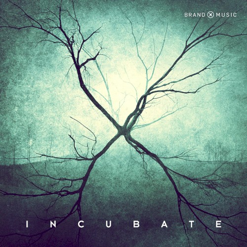 Incubate