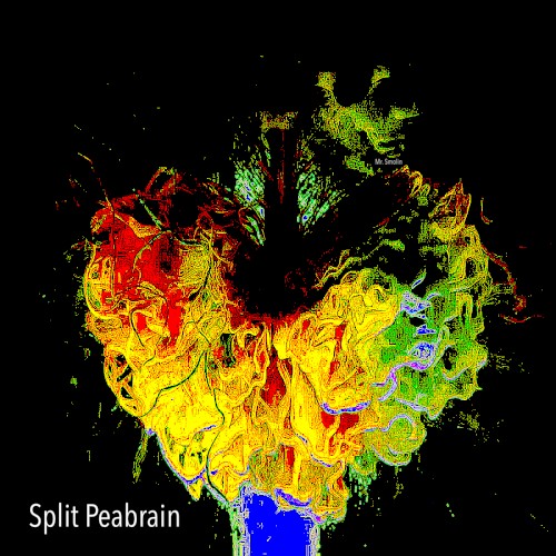 Split Peabrain