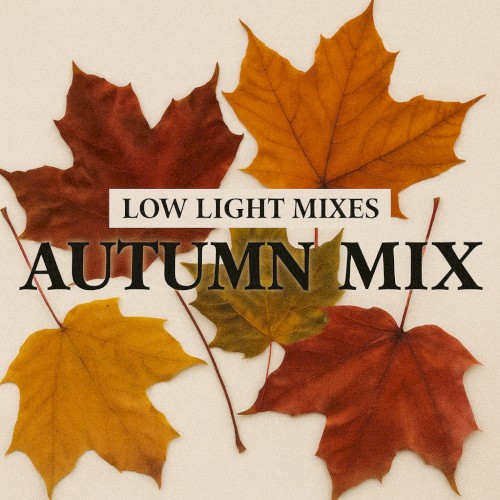 Low Light Mixes: Autumn Mix