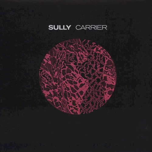 Carrier